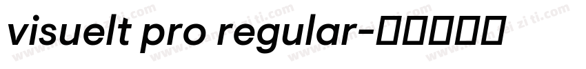 visuelt pro regular字体转换
